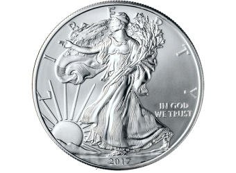 $1 Silver American Eagle COMMON DATE